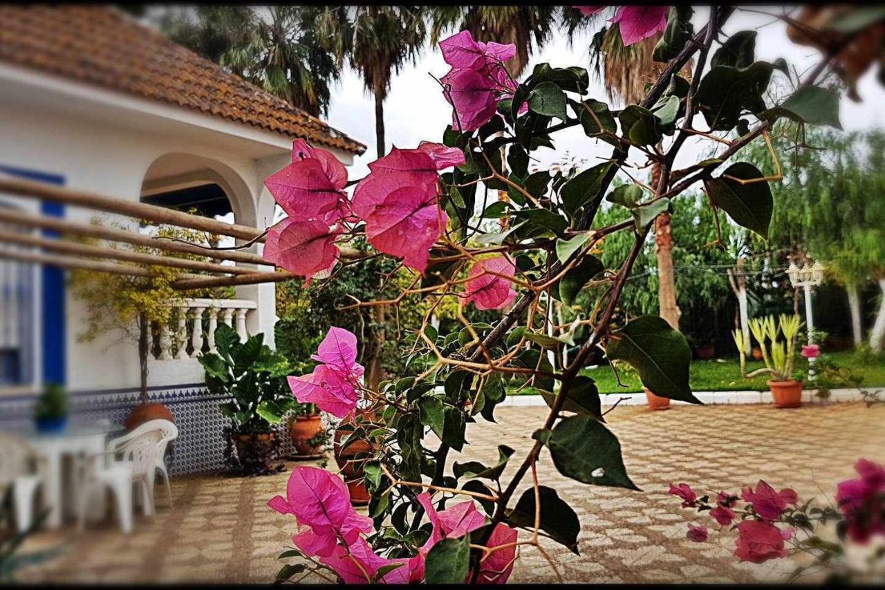 Casa Rural Finca Real De Niebla Guest House Exterior photo